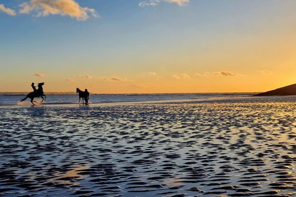 Petit Prince Berck Exteriör bild